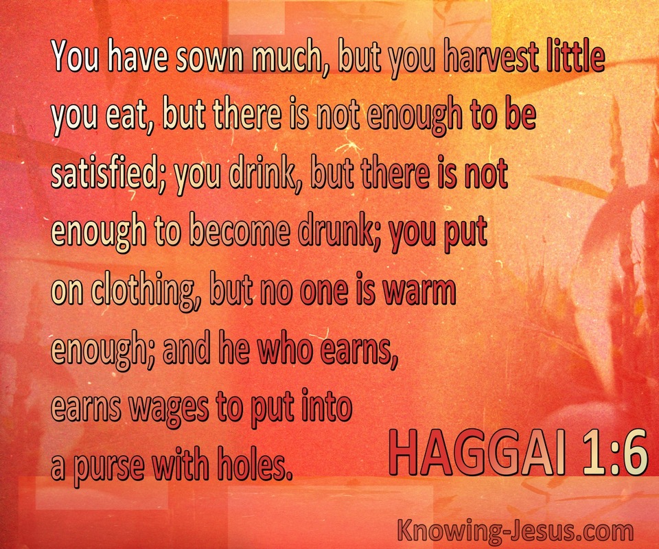 Haggai 1:6 Your Sow Much But Harvest Little (orange)